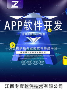 南昌軟件開發(fā)公司 技術(shù)創(chuàng)新與推廣服務(wù)的雙輪驅(qū)動